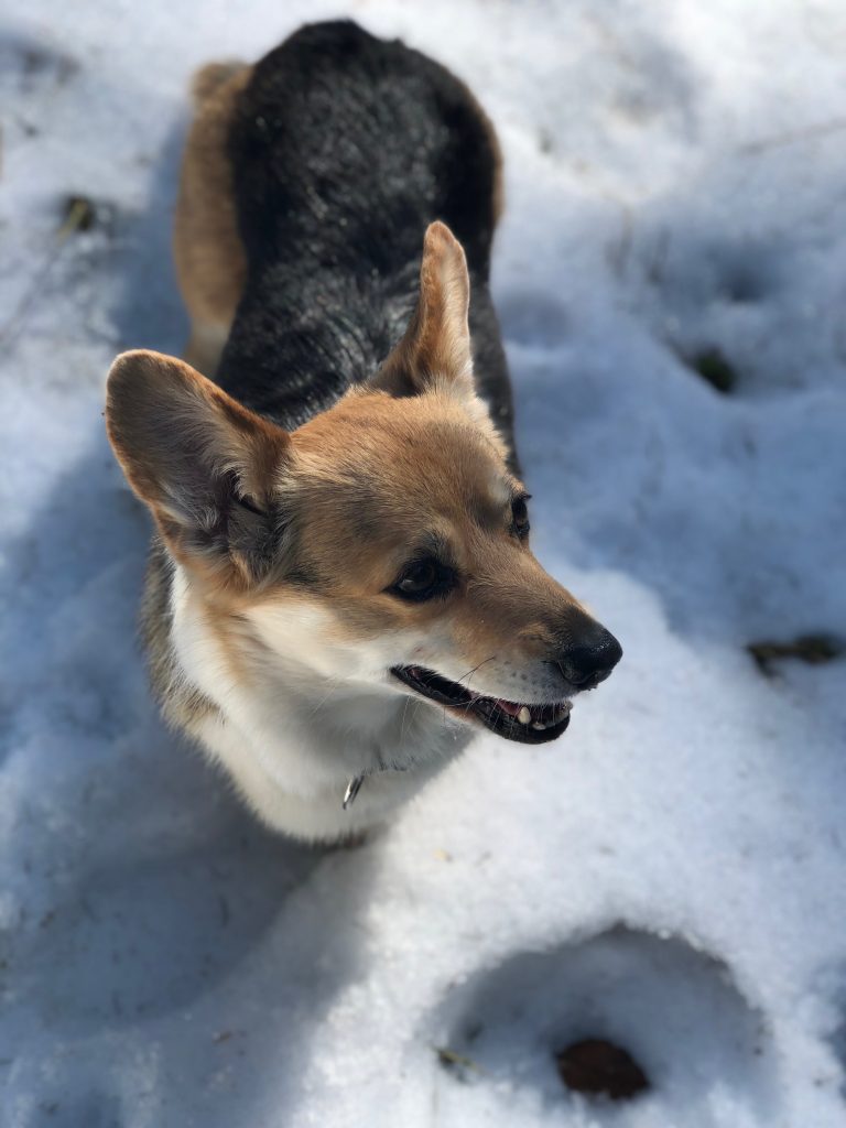 Ma la neve si mangia, vero?