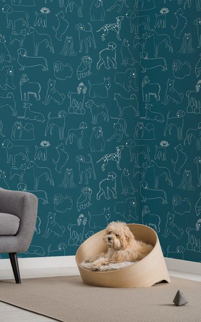 Murals Wallpaper: carta da parati dedicata ai cani